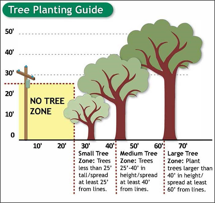 Tree Planting Guide: 10 to 25 feet from lines is a no tree zone. 25 to 40 feet from lines, trees less that 25 feet tall. 40 to 60 feet from lines, trees 25 to 40 feet. 60 feet and greater is large tree zone.